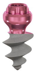 Roott M d 5,0  x 06mm