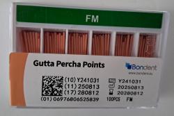 Gutaper�ov� �apy �peci�l - Accessory FM 100ks