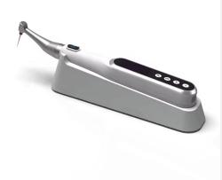 Endomotor - Marc Eco