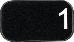 Platnikov RVG vekos 1 gr.