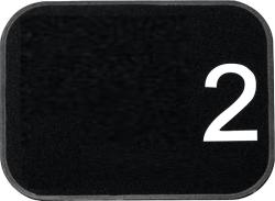 Platnikov RVG vekos 2 gr.