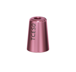 Telescopic titan. abutment TCES0