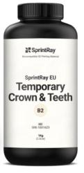 Temporary Crown & Teeth - B2 - 1kg